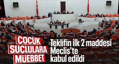 Suça sürüklenen çocuklara ilişkin teklifin ilk 2 maddesi kabul edildi